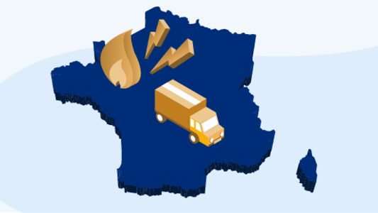 Entreprises Locales de Distribution (ELD)