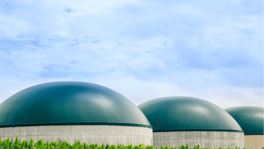 herbe avec des domes pour stockage de biogaz