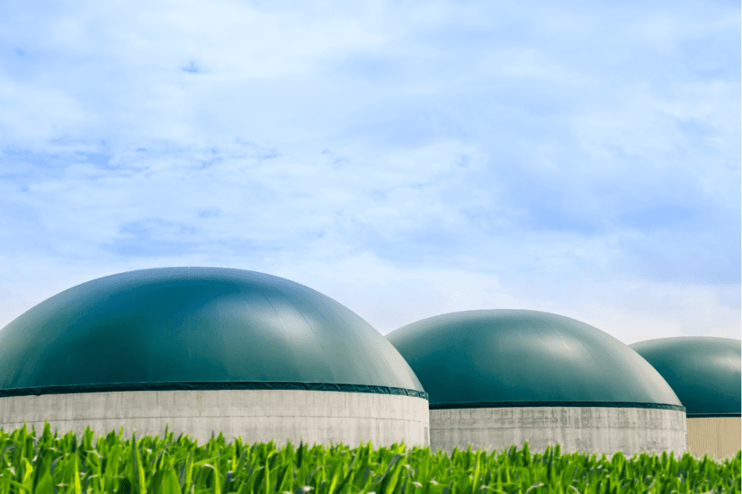 herbe avec des domes pour stockage de biogaz